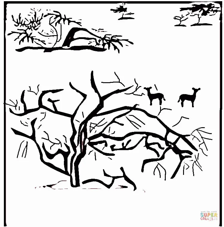 Africa Coloring Pages 19