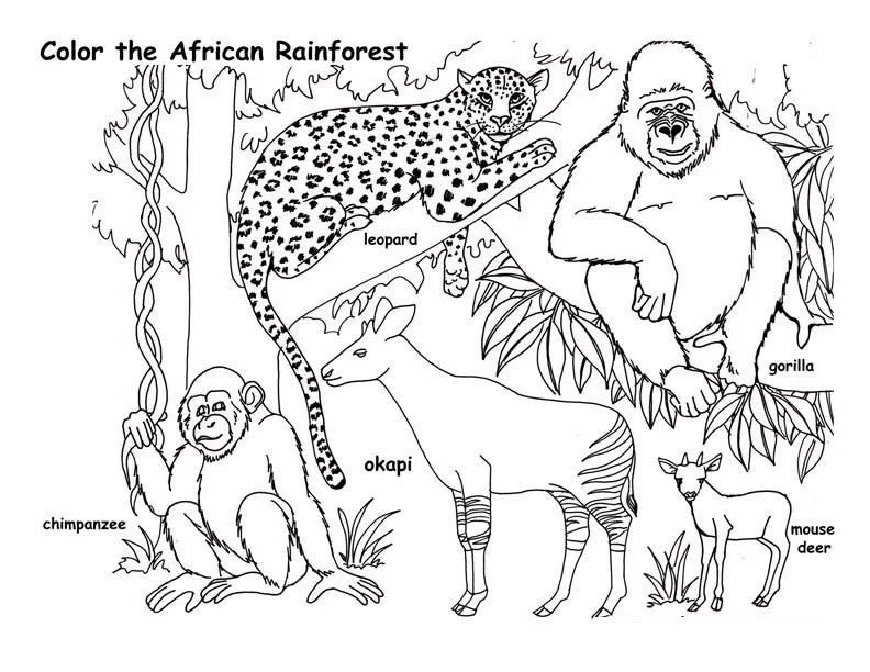 Africa Coloring Pages 28