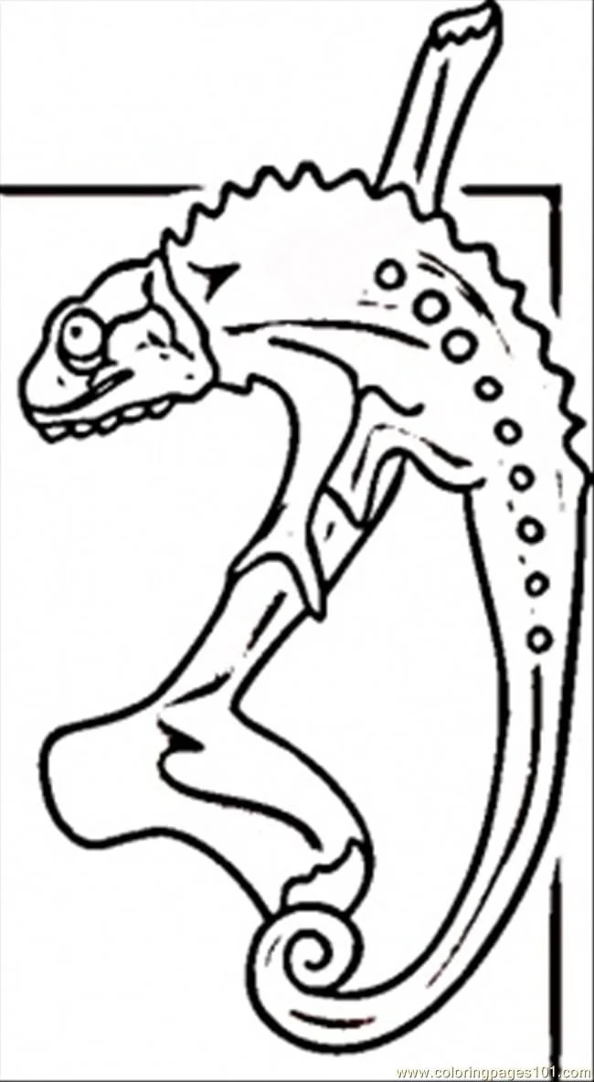 Africa Coloring Pages 33