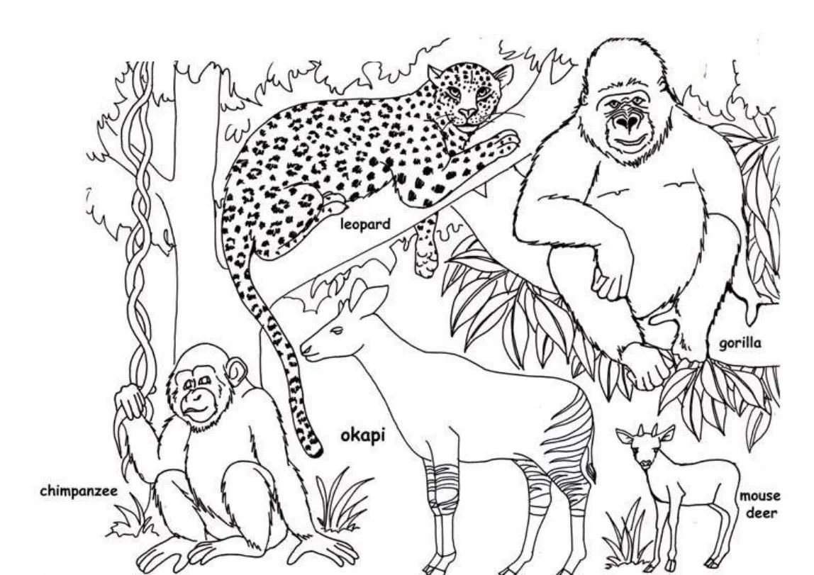 Africa Coloring Pages 4