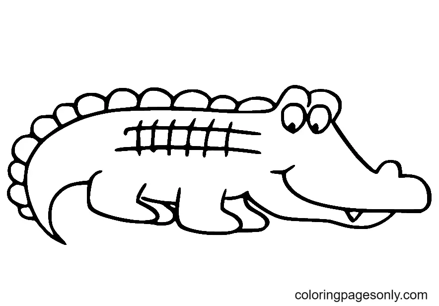 Alligator Coloring Pages 11