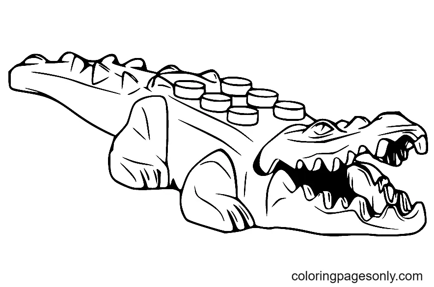 Alligator Coloring Pages 4