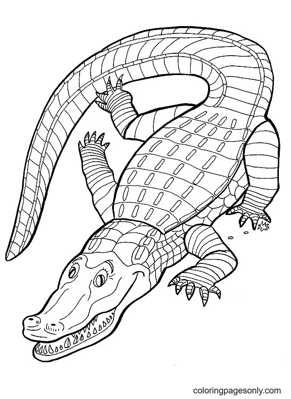 Alligator Coloring Pages 40