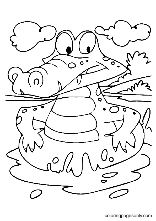 Alligator Coloring Pages 47