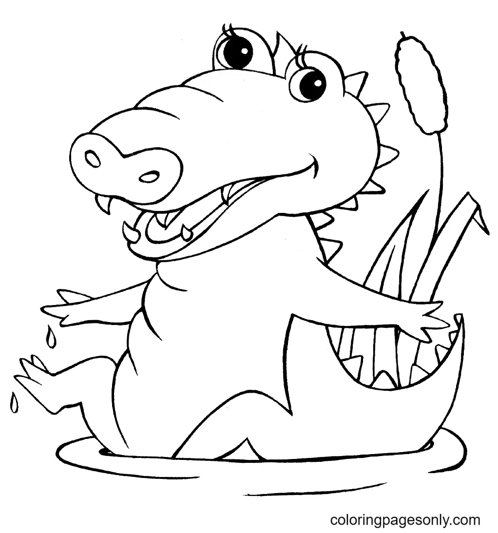 Alligator Coloring Pages 60