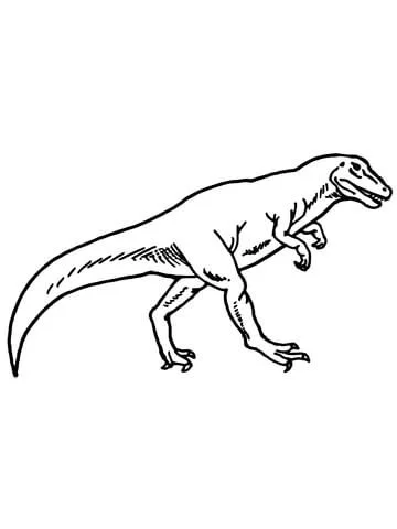 Allosaurus Coloring Pages 12