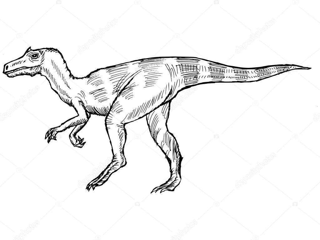 Allosaurus Coloring Pages 30