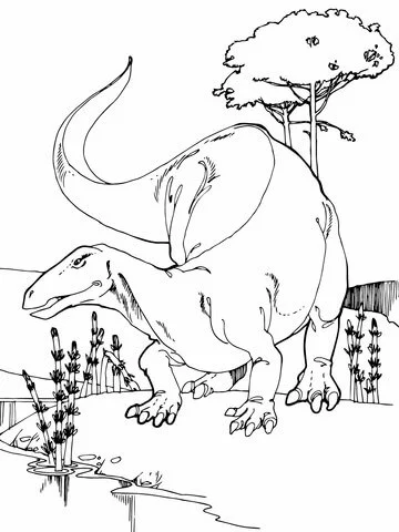 Allosaurus Coloring Pages 35
