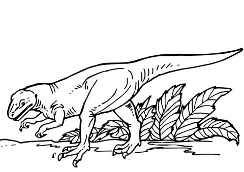Allosaurus Coloring Pages 54