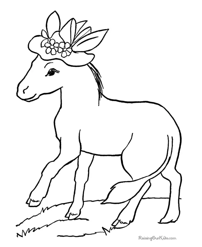 Animales Para Colorear 11