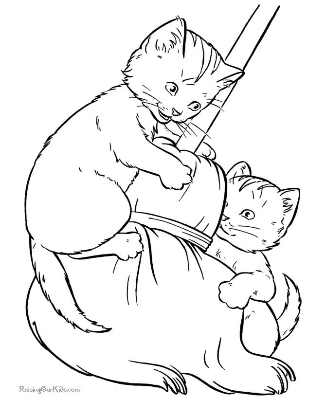 Animales Para Colorear 12