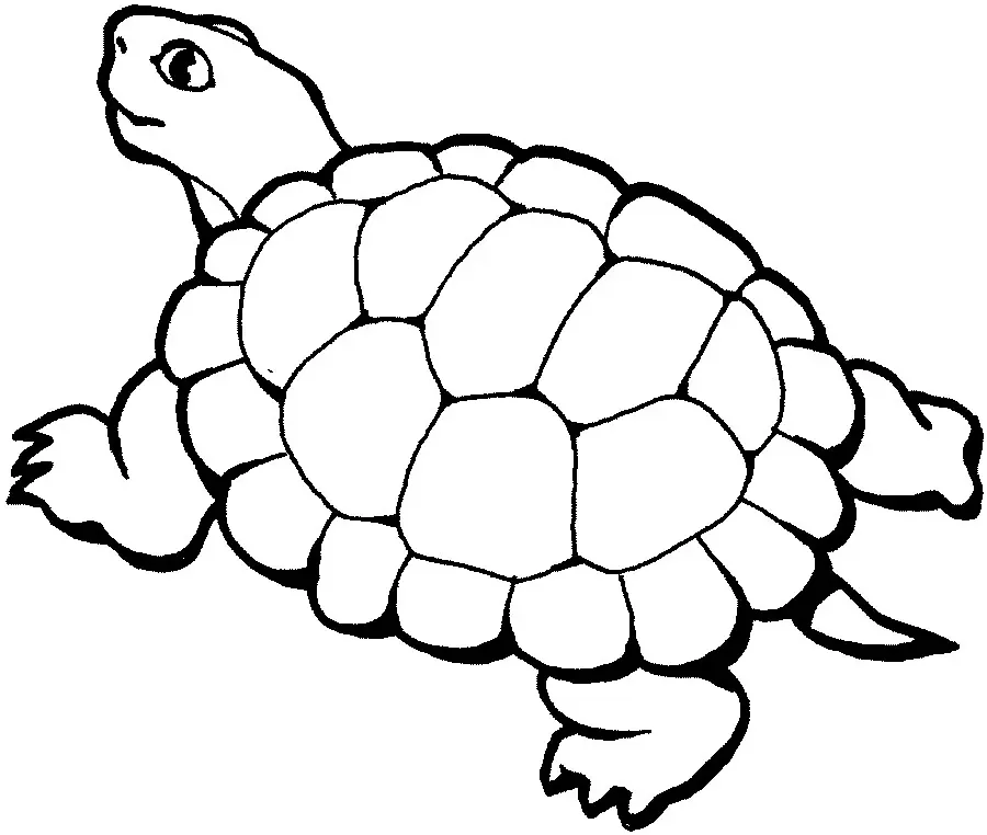 Animales Para Colorear 26