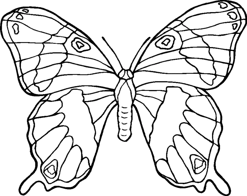 Animales Para Colorear 27