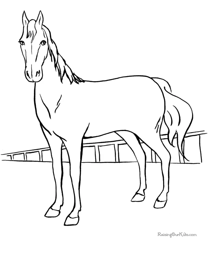 Animales Para Colorear 33