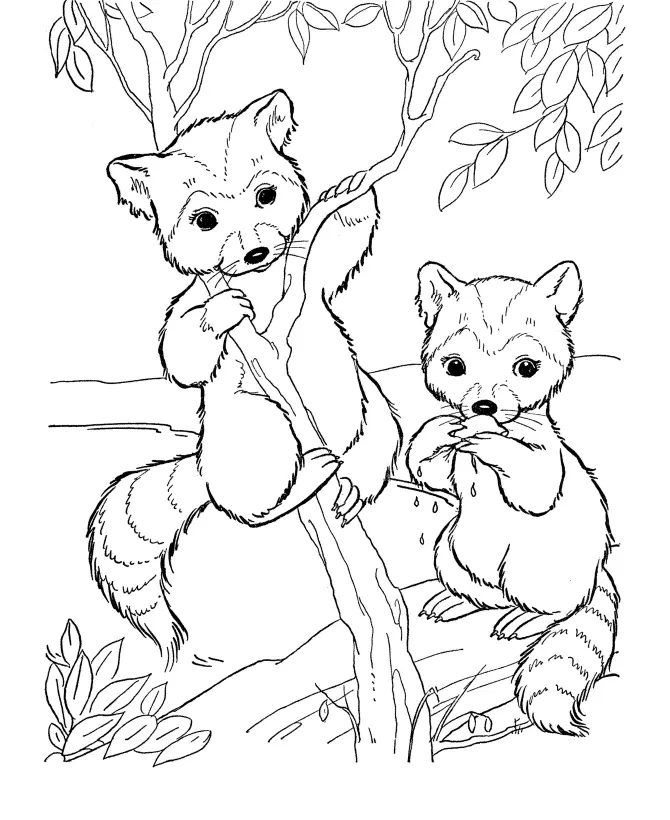 Animales Para Colorear 35