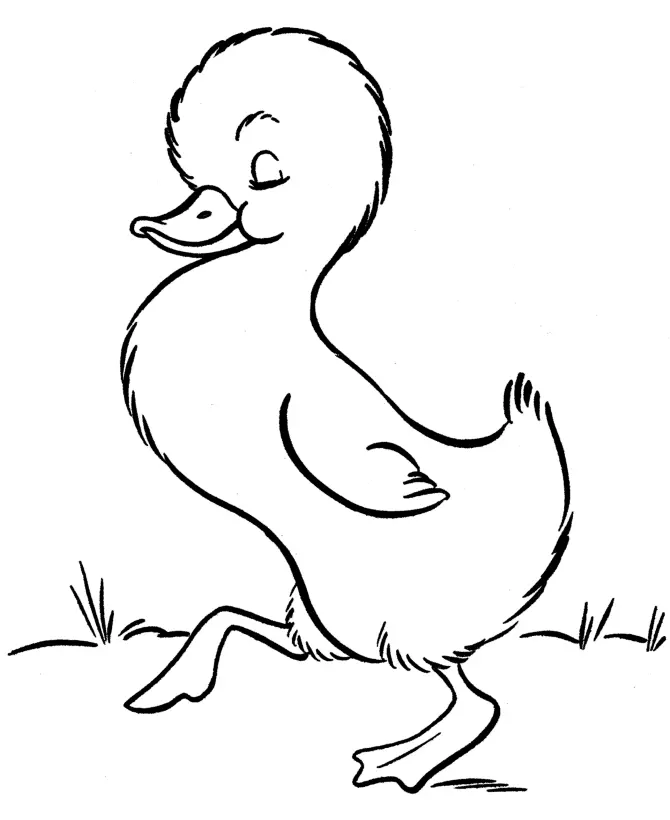 Animales Para Colorear 39