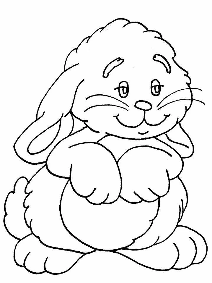 Animales Para Colorear 40
