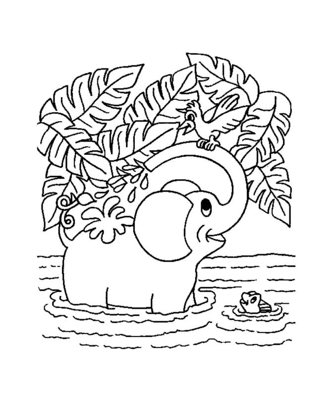 Animales Para Colorear 50