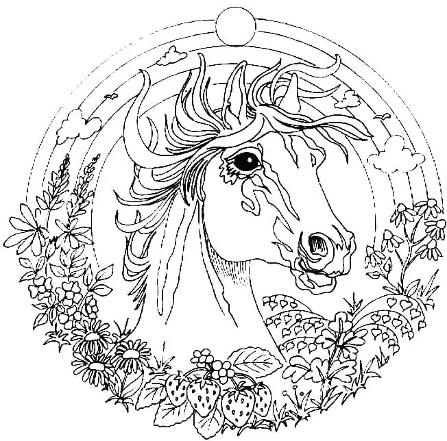 Mandalas de Animais para Colorir 1