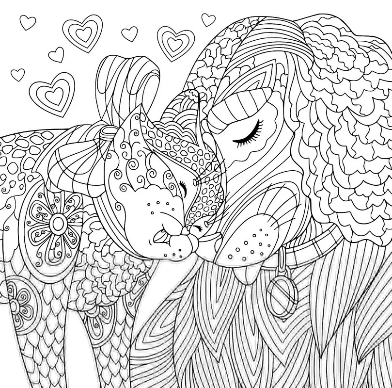 Mandalas de Animais para Colorir 2