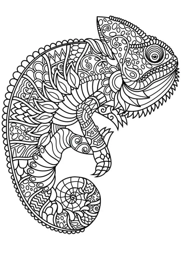 Mandalas de Animais para Colorir 20