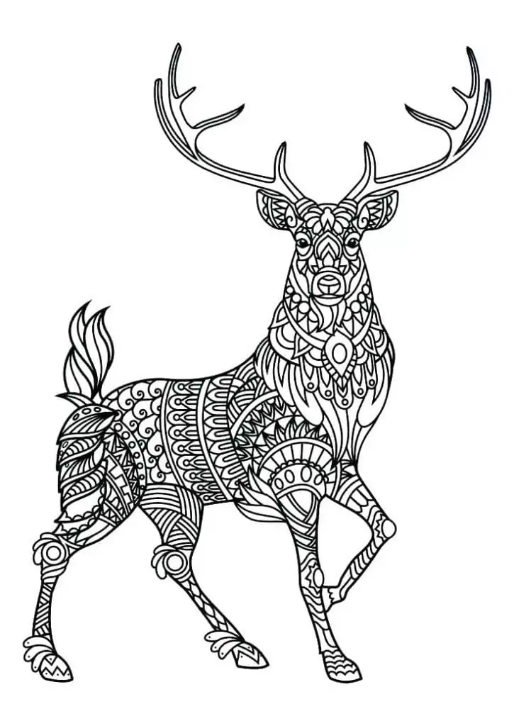 Mandalas de Animais para Colorir 21