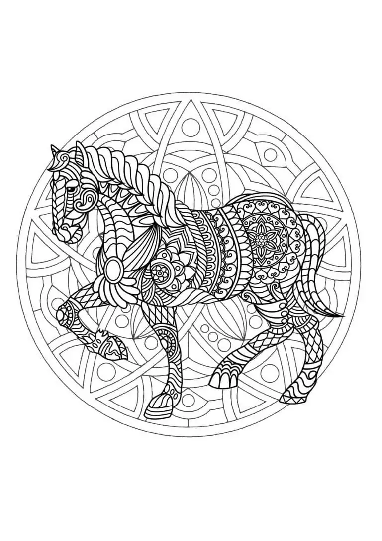 Mandalas de Animais para Colorir 30