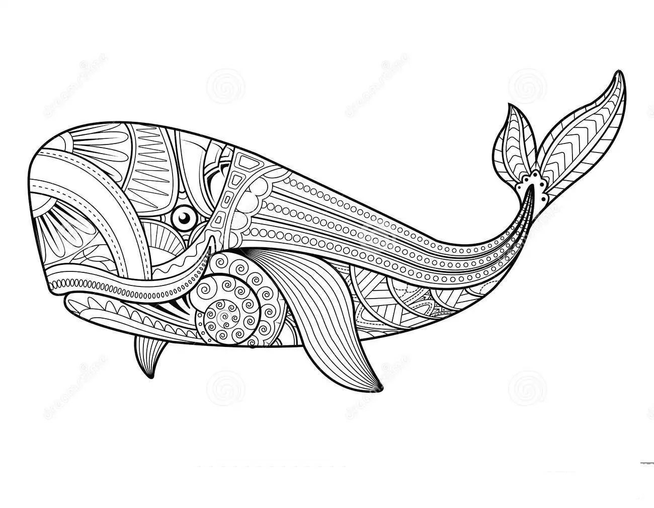 Mandalas de Animais para Colorir 5