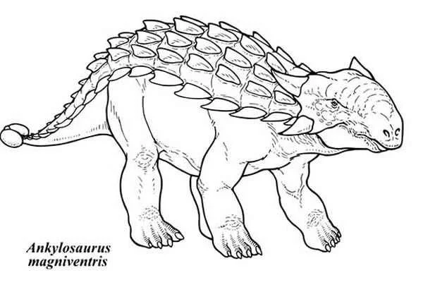 Ankylosaurus Coloring Pages 22