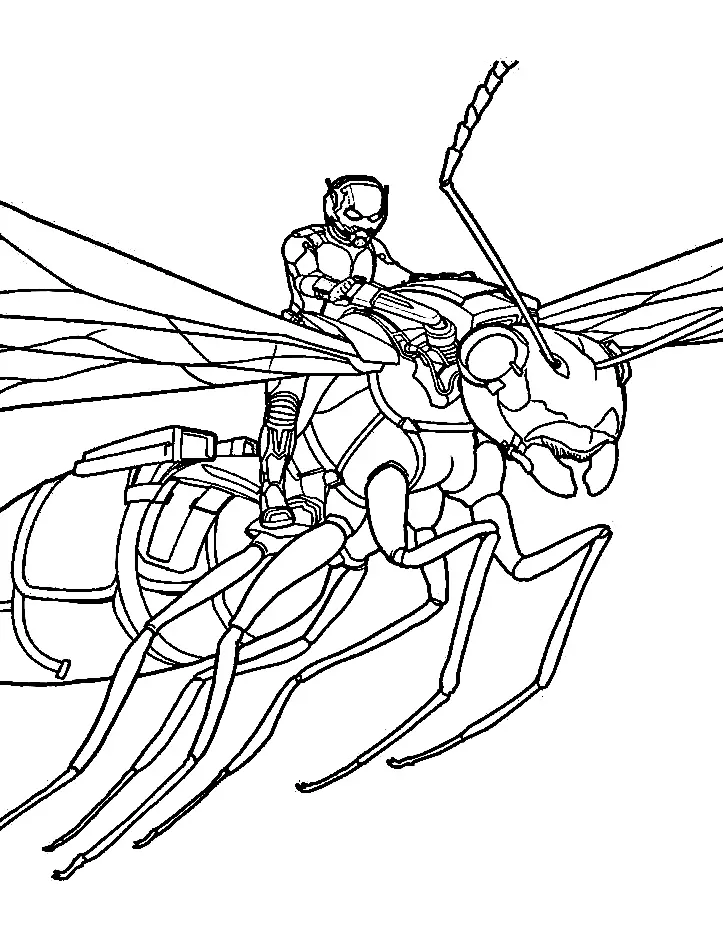 Desenhos de Homem Formiga Para Colorir 5