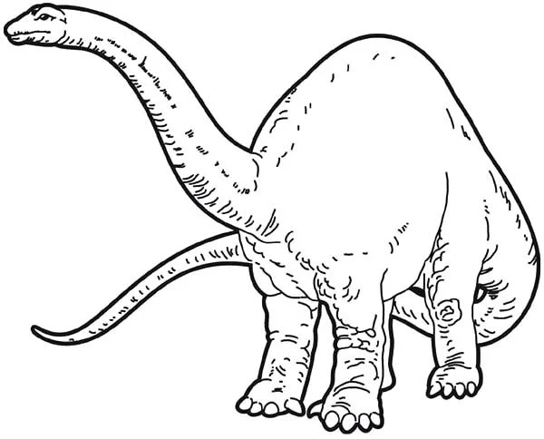 Apatosaurus Para Colorear 1