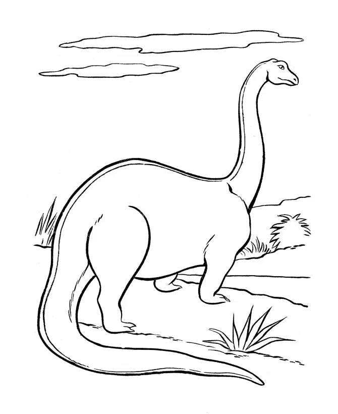 Apatosaurus Para Colorear 24