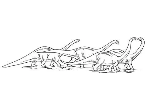 Apatosaurus Para Colorear 34