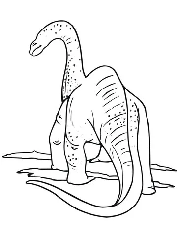 Apatosaurus Para Colorear 47