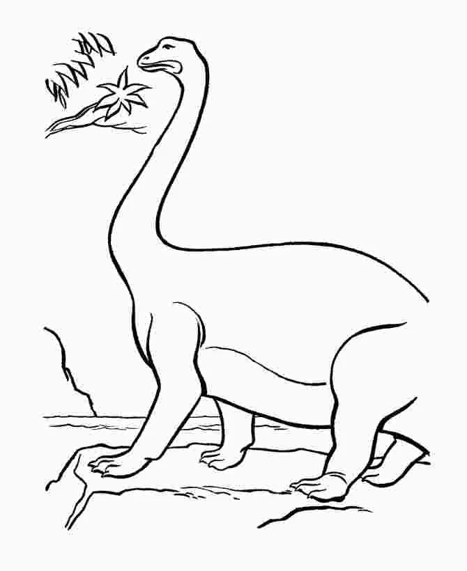 Apatosaurus Para Colorear 50
