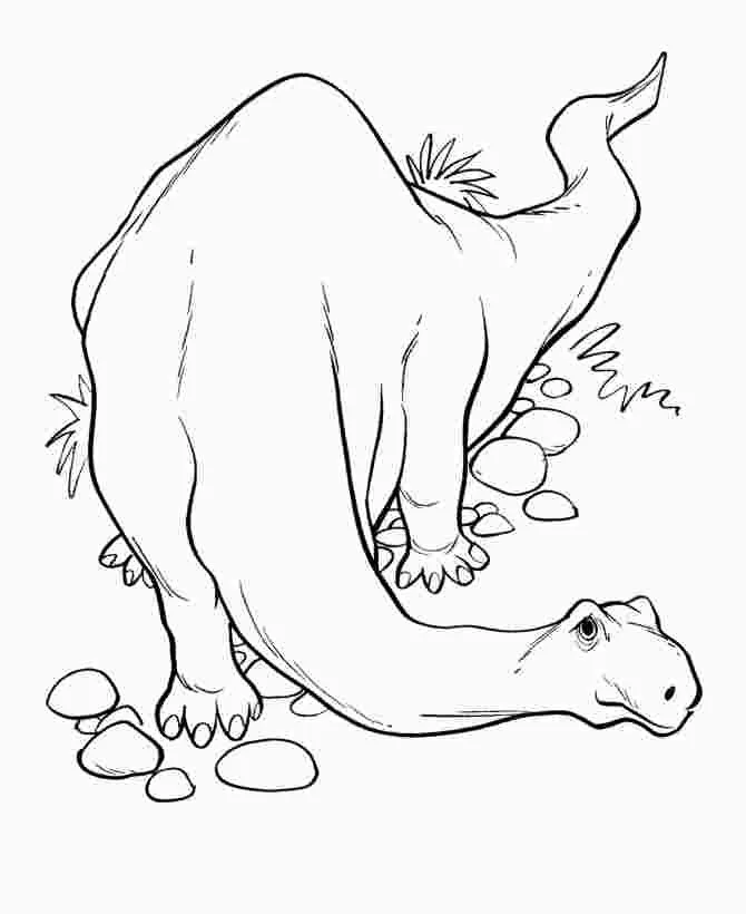 Apatosaurus Para Colorear 53
