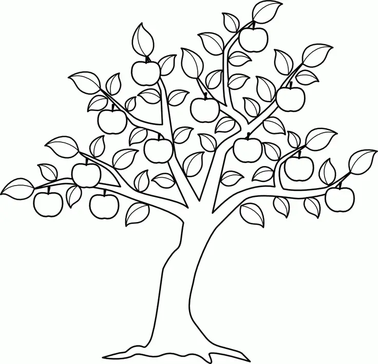 Apfel Ausmalbilder 44