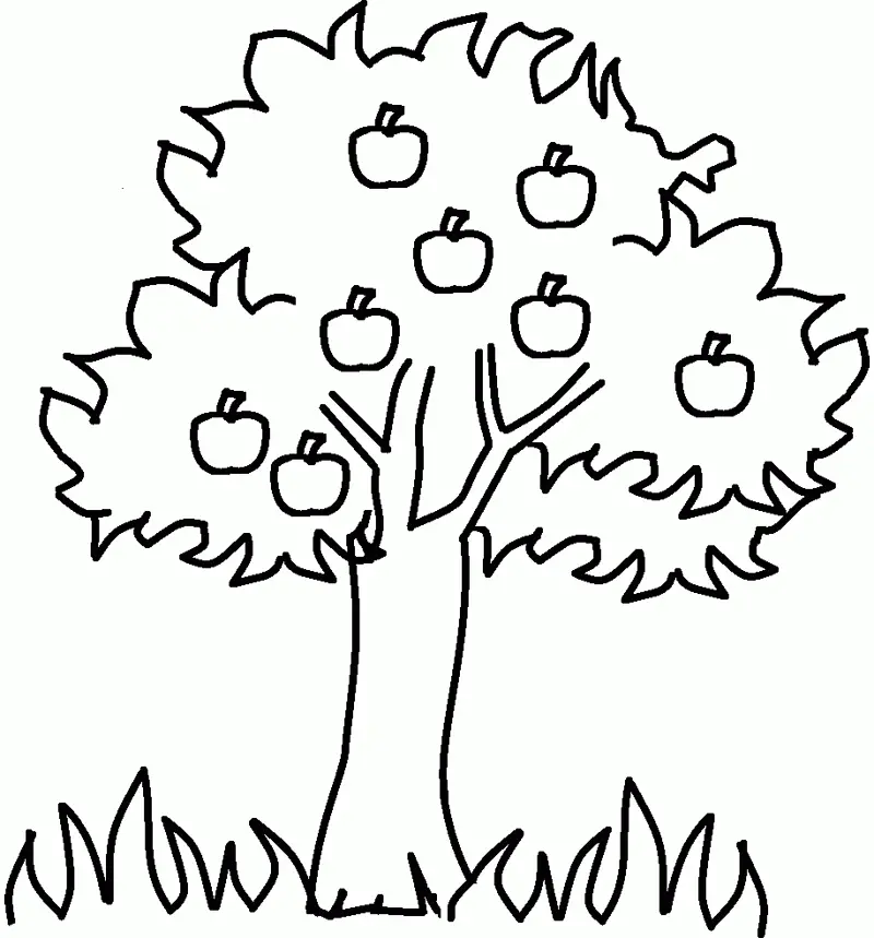 Desenhos de Macieira Para Colorir 1