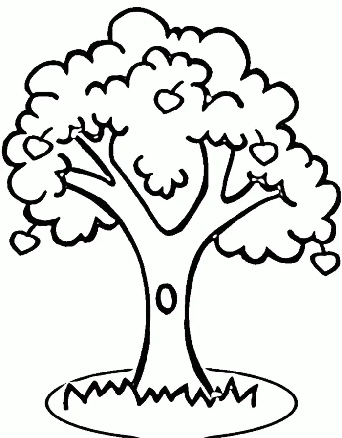 Desenhos de Macieira Para Colorir 11