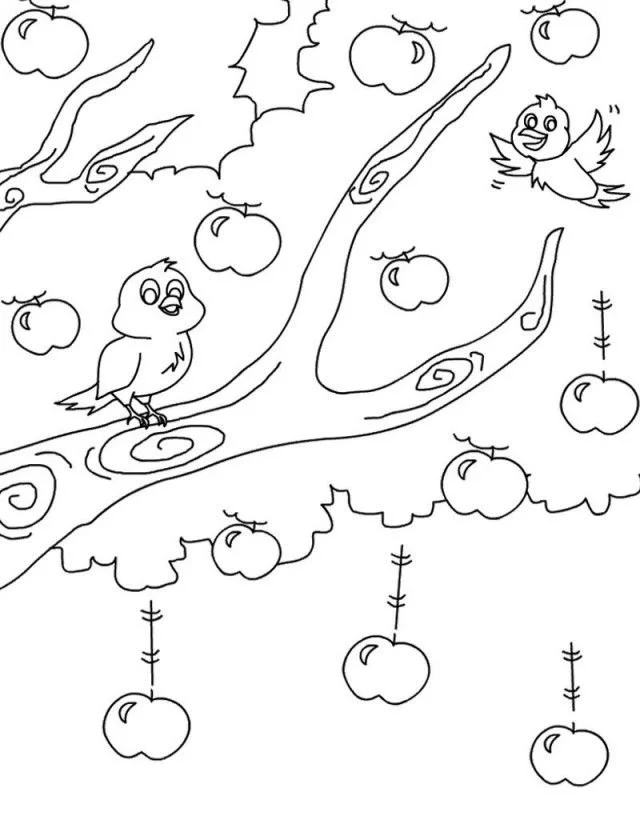 Desenhos de Macieira Para Colorir 16