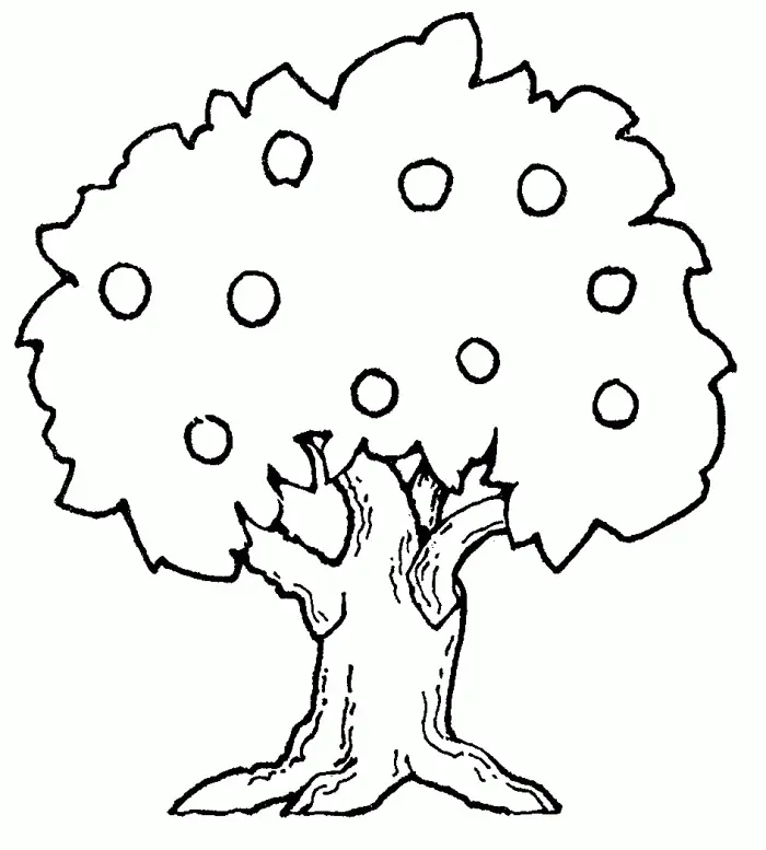Desenhos de Macieira Para Colorir 17