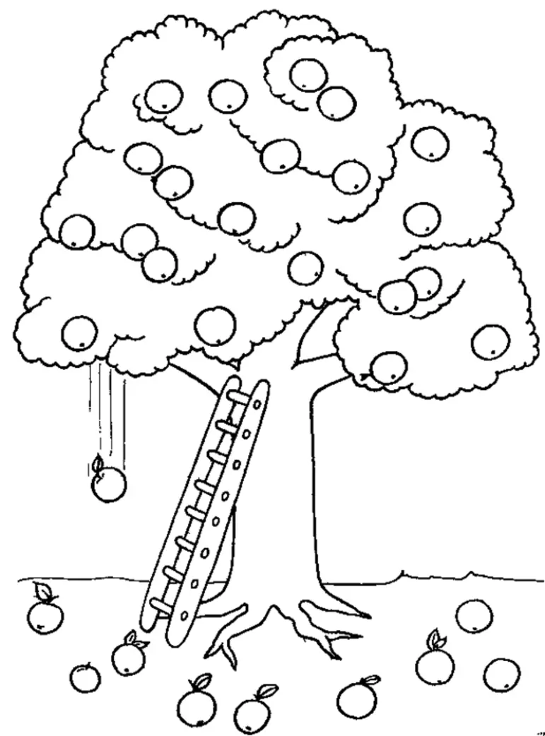 Desenhos de Macieira Para Colorir 18
