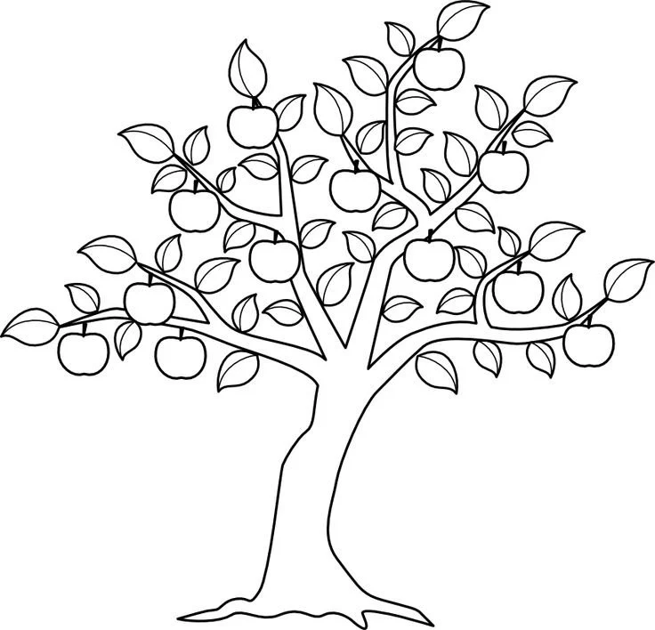 Desenhos de Macieira Para Colorir 24