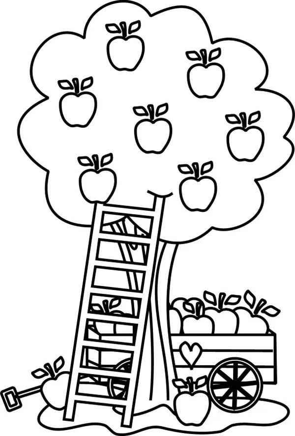 Desenhos de Macieira Para Colorir 25