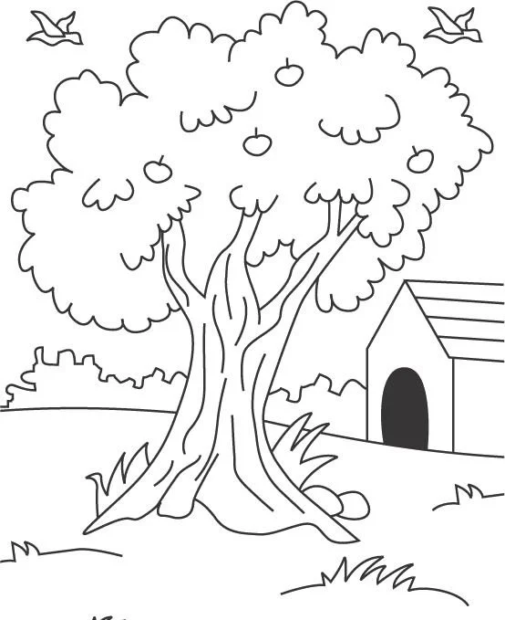 Desenhos de Macieira Para Colorir 26