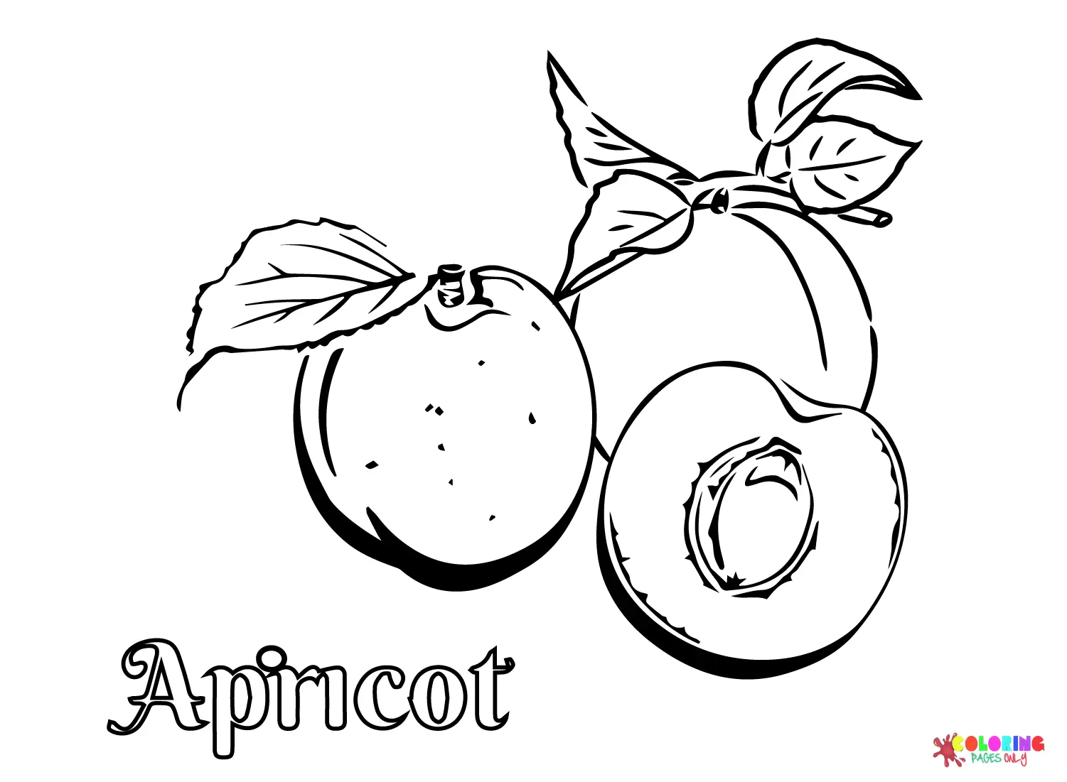 Apricot Coloring Pages 24