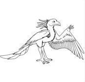 Desenhos de Arqueopterix Para Colorir 10