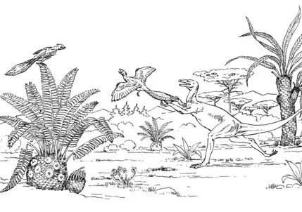 Desenhos de Arqueopterix Para Colorir 13