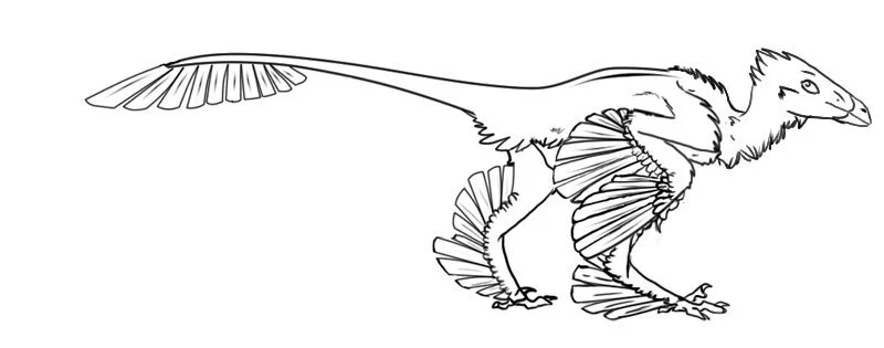 Desenhos de Arqueopterix Para Colorir 17