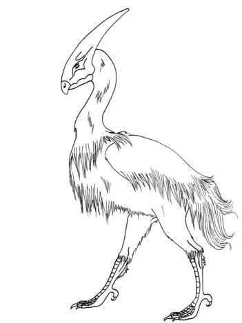 Desenhos de Arqueopterix Para Colorir 22